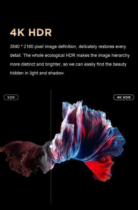 Vitron 55 Inch Smart TV