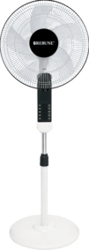 RSF-16-011 img