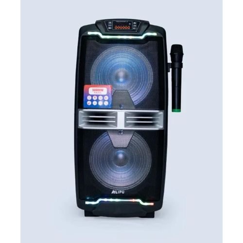 Ailipu trolley speaker KL-3120. 40W ac/dc